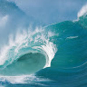 Meet your Posher, Joanne